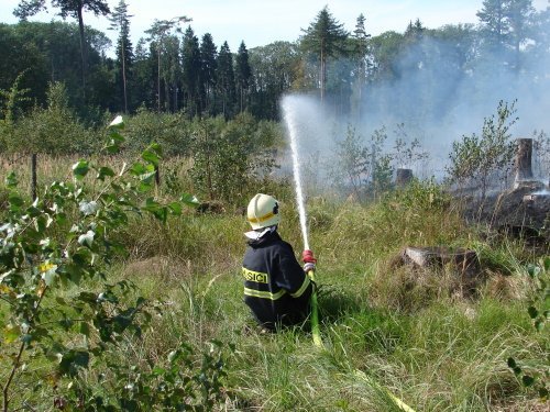 1obr504df75d5a08d[1]