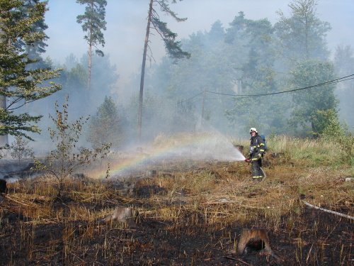 2obr504df75de1acb[1]