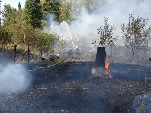 4obr504df75f031f1[1]