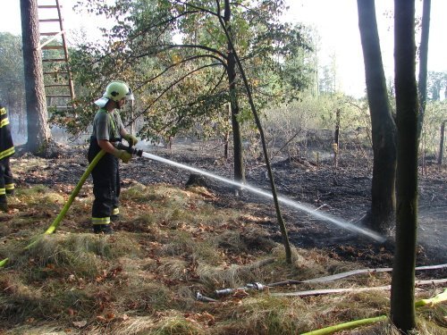 5obr504e1036c00c1[1]