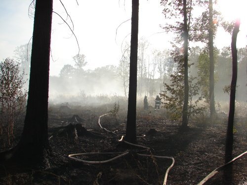 6obr504e1037b702b[1]