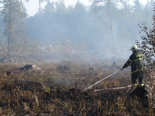 8obr504e103743159[1]